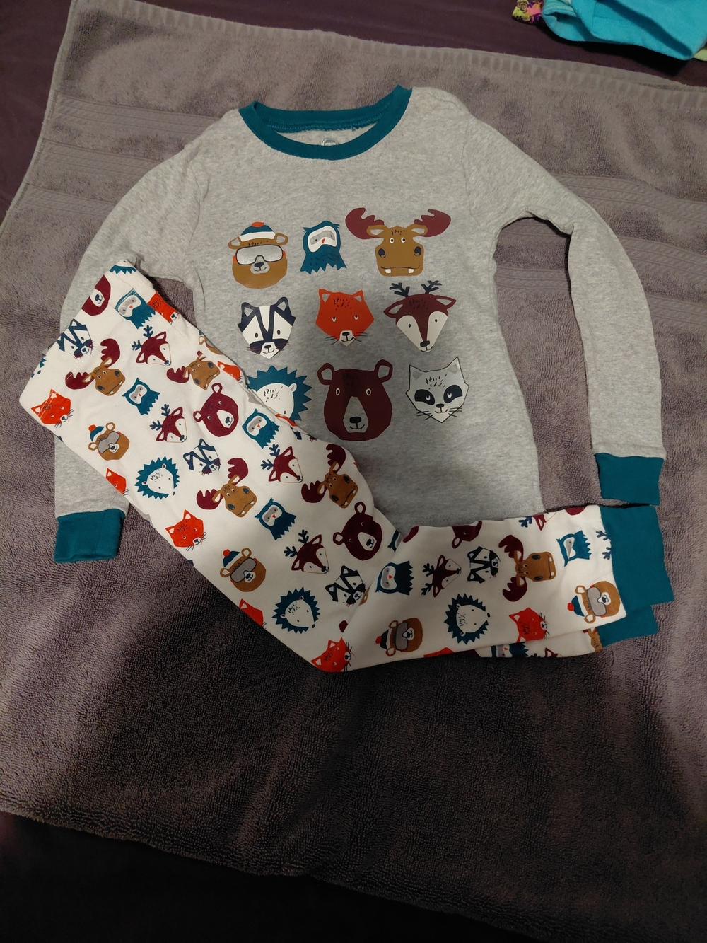wonder nation Grey and Teal Animal Face Pajama Set